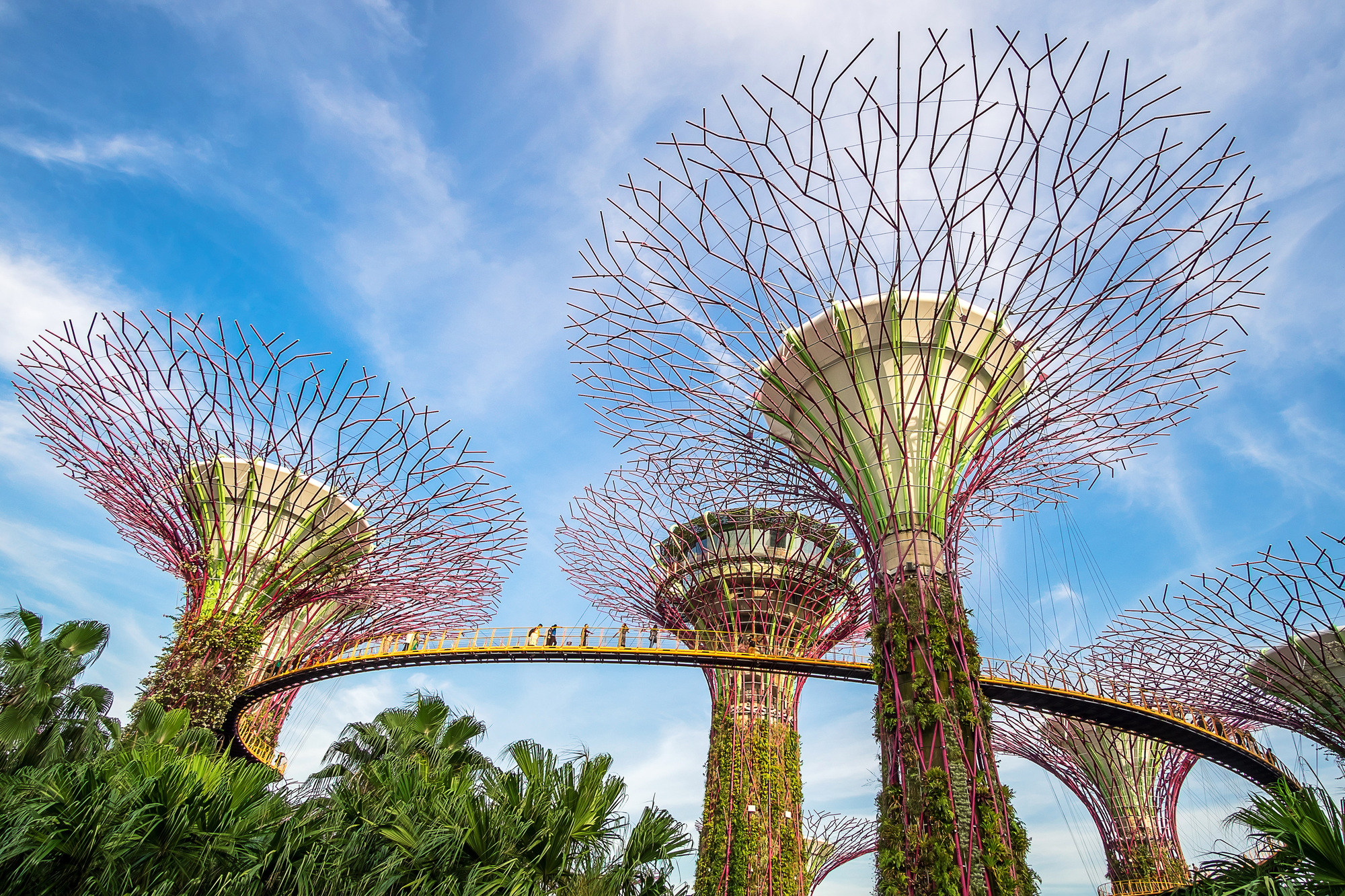 the-supertree-grove-at-gardens-by-the-bay-with-marina-bay-sands-hotel-in-singapore-landmark.jpg