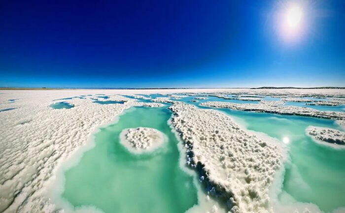 Guerrero Negro messico