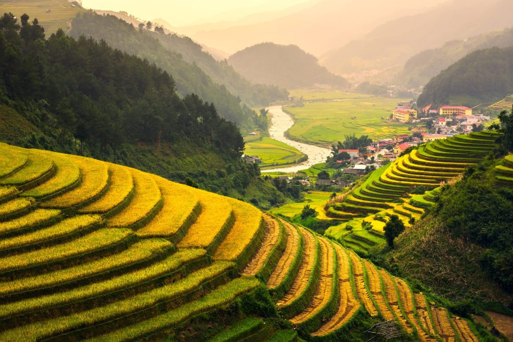 viaggio di gruppo in vietnam